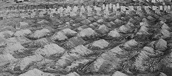 Zann’s Place: Letters home from Pvt. Stowe